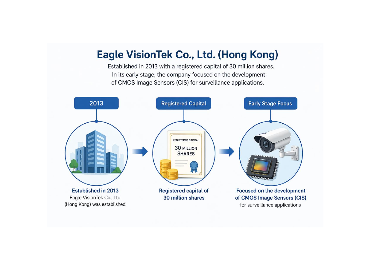 Eagle VisionTek company profile infographic